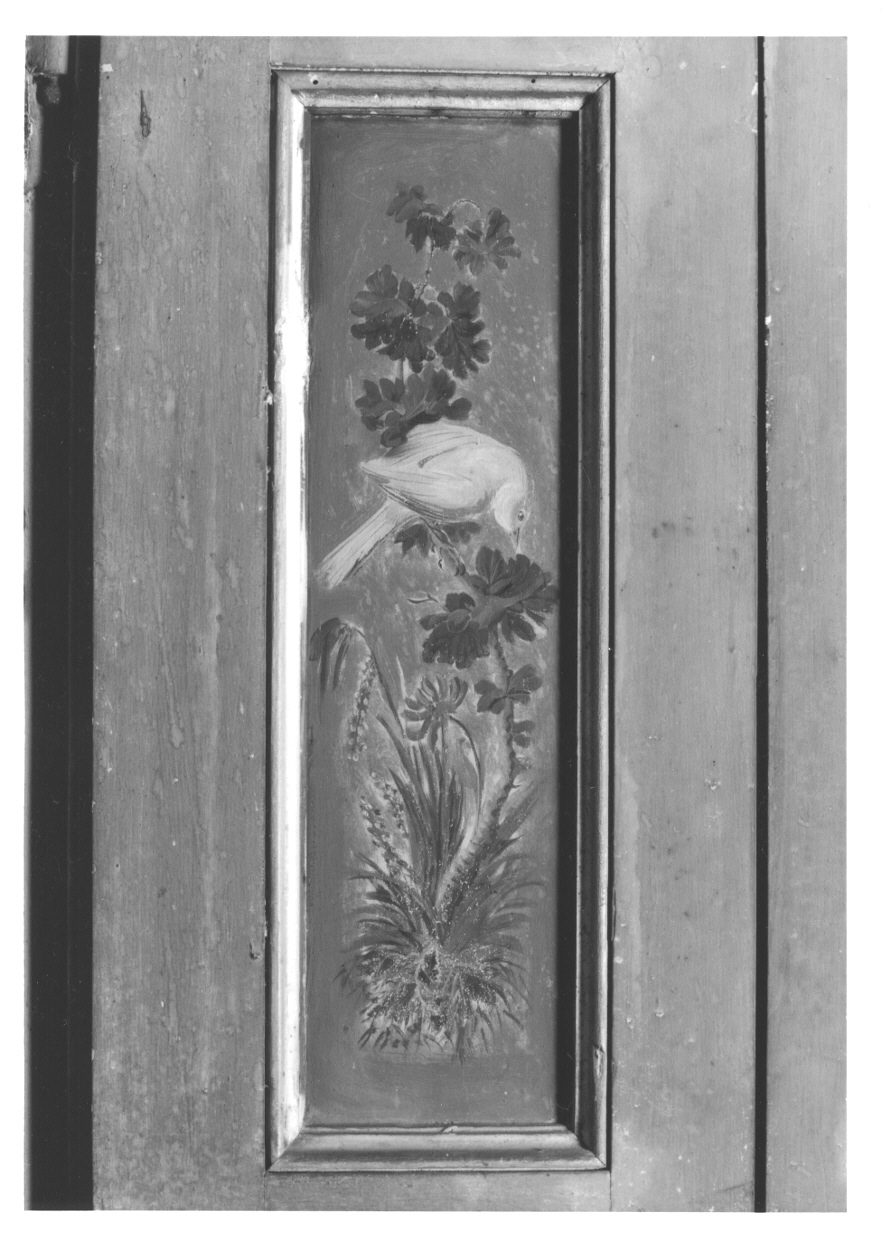 MOTIVI DECORATIVI VEGETALI CON UCCELLI (elemento decorativo, elemento d'insieme) di Vacca Angelo (bottega) (ultimo quarto sec. XVIII)