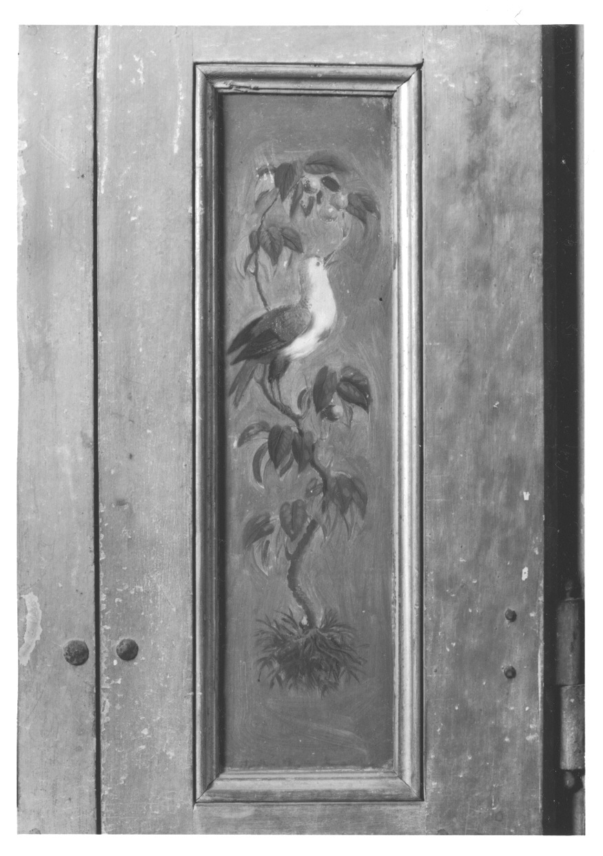 MOTIVI DECORATIVI VEGETALI CON UCCELLI (elemento decorativo, elemento d'insieme) di Vacca Angelo (bottega) (ultimo quarto sec. XVIII)