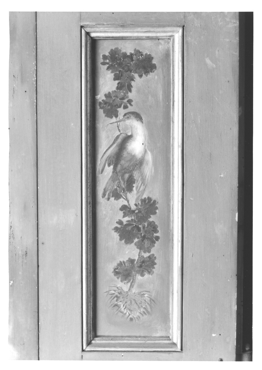 MOTIVI DECORATIVI VEGETALI CON UCCELLI (elemento decorativo, elemento d'insieme) di Vacca Angelo (bottega) (ultimo quarto sec. XVIII)