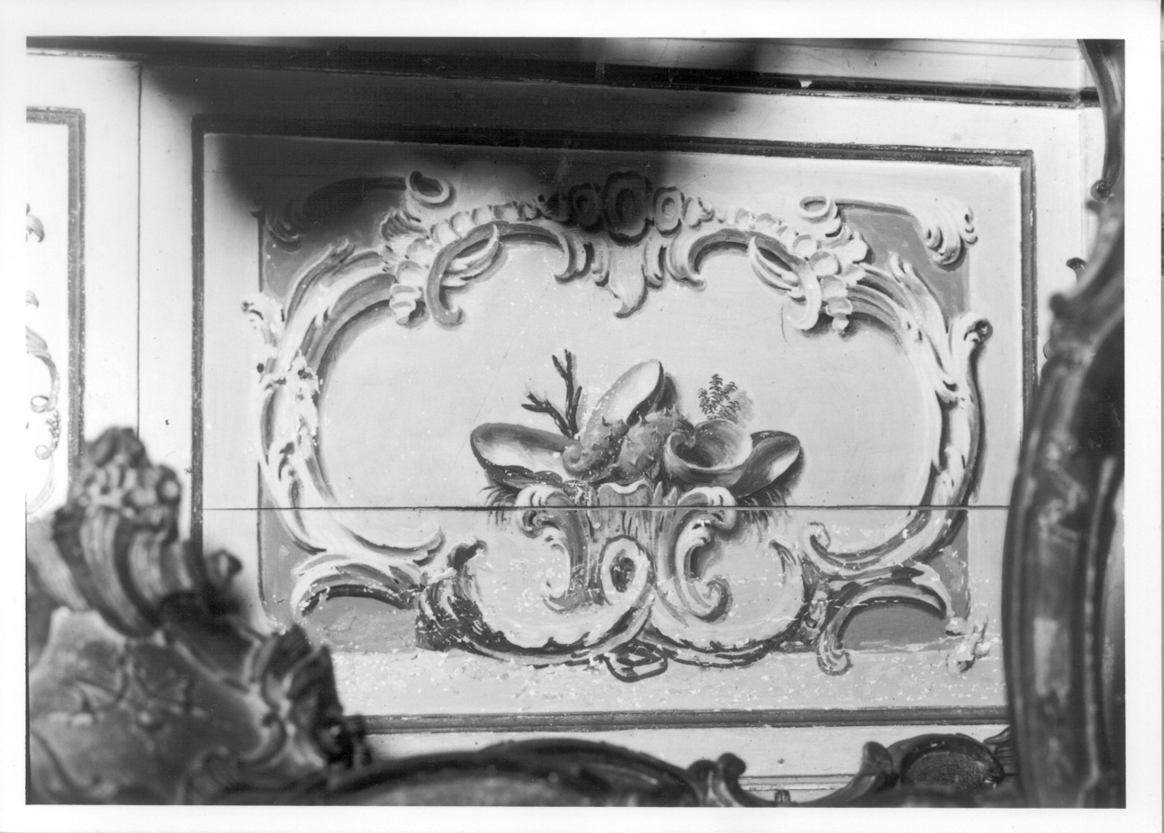 NATURA MORTA CON CONCHIGLIE E CORALLI (elemento decorativo, elemento d'insieme) di Antoniani Francesco - ambito piemontese (metà sec. XVIII)