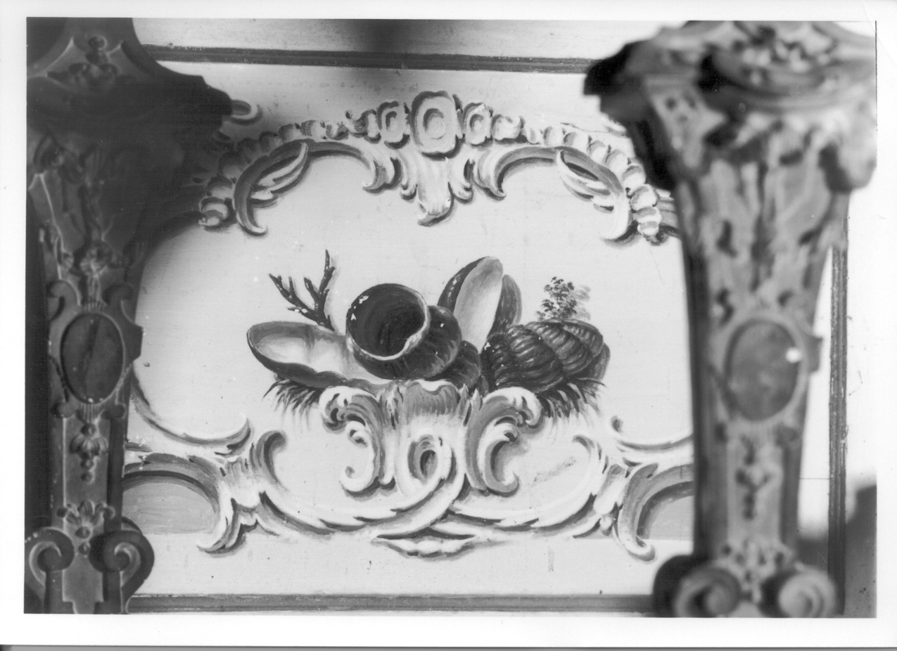 NATURA MORTA CON CONCHIGLIE E CORALLI (elemento decorativo, elemento d'insieme) di Antoniani Francesco - ambito piemontese (metà sec. XVIII)