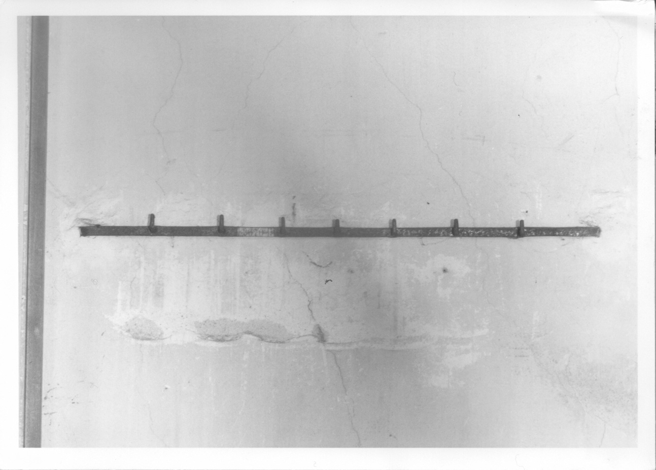 attaccapanni - da parete, opera isolata - produzione piemontese (seconda metà sec. XIX)