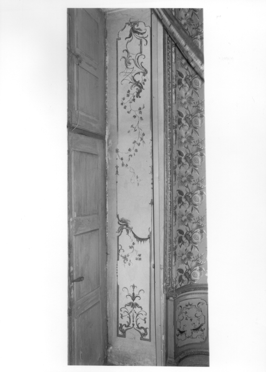 GROTTESCHE (decorazione pittorica, serie) di Pozzo Giovanni Pietro, Pozzo Pietro Antonio - bottega piemontese (metà sec. XVIII)