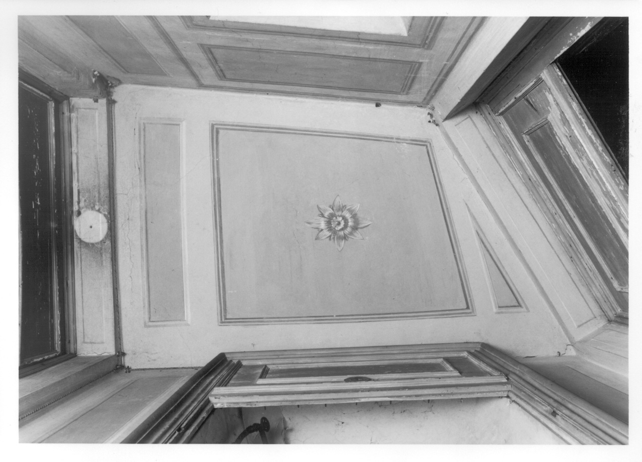 MOTIVI DECORATIVI VEGETALI (soffitto dipinto, opera isolata) - ambito piemontese (terzo quarto sec. XVIII)