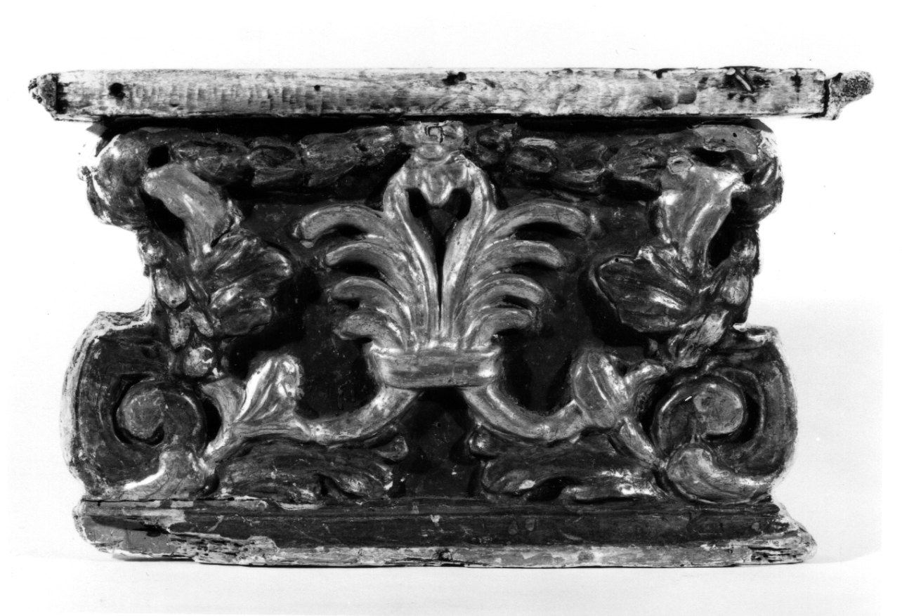 motivi decorativi vegetali (base, elemento d'insieme) - bottega ortese (seconda metà sec. XVII)