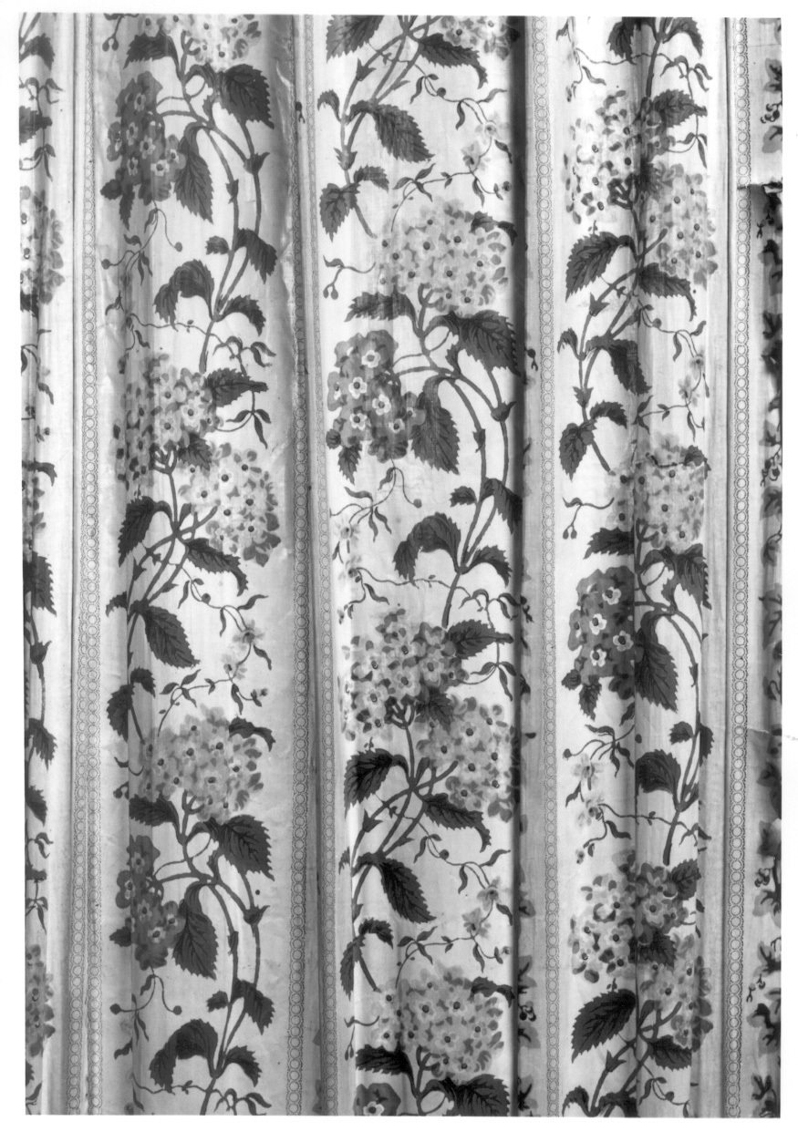 motivi decorativi floreali (tappezzeria, opera isolata) - produzione piemontese (terzo quarto sec. XIX)