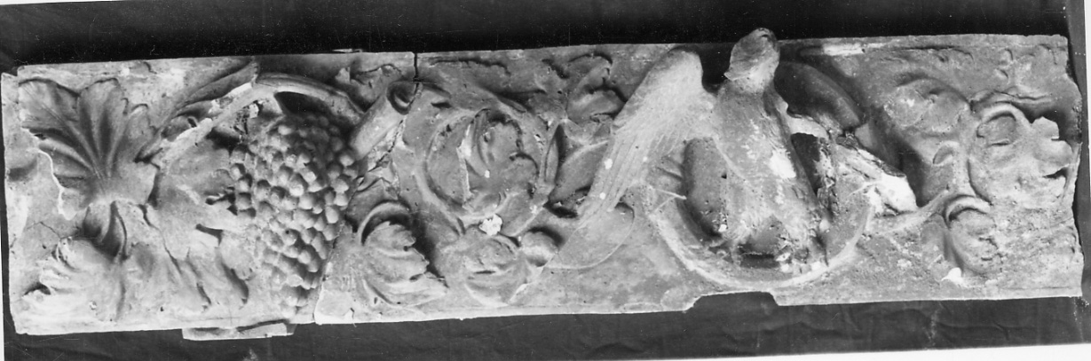 motivi decorativi a tralci di vite (calco, frammento) - bottega italiana (ultimo quarto, secondo quarto sec. XVIII, sec. XIX)