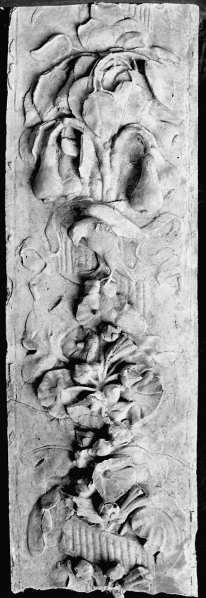 motivi decorativi vegetali e animali (calco, frammento) - bottega italiana (ultimo quarto, secondo quarto sec. XVIII, sec. XIX)