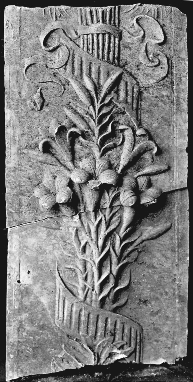 motivi decorativi floreali (calco, frammento) - bottega italiana (ultimo quarto, secondo quarto sec. XVIII, sec. XIX)