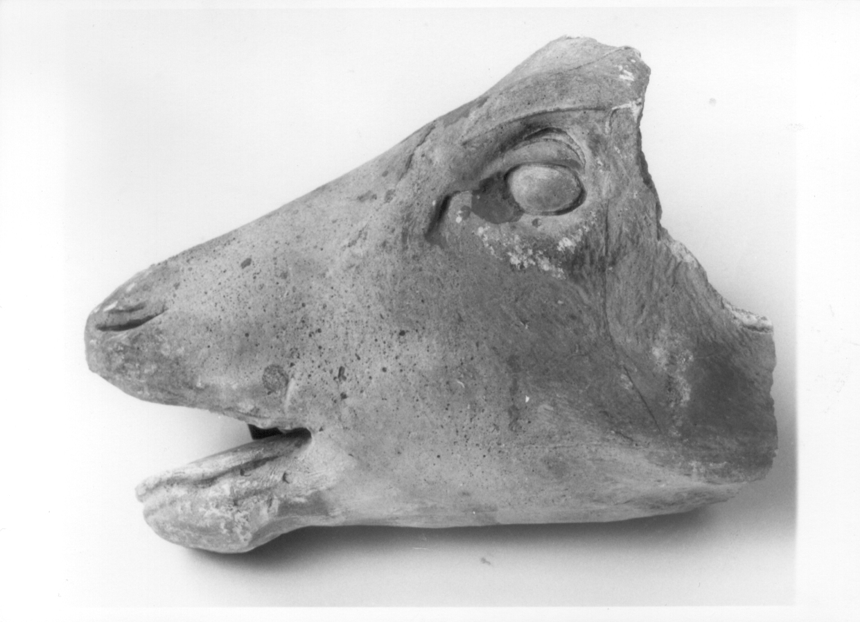 testa di ovino (scultura, frammento) - bottega piemontese (sec. XIX)