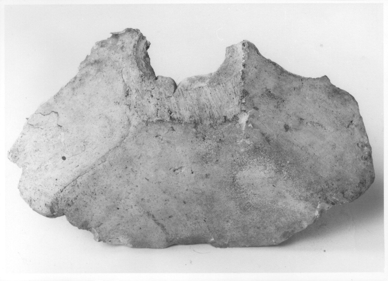 calco di scultura, frammento - bottega piemontese (sec. XIX)