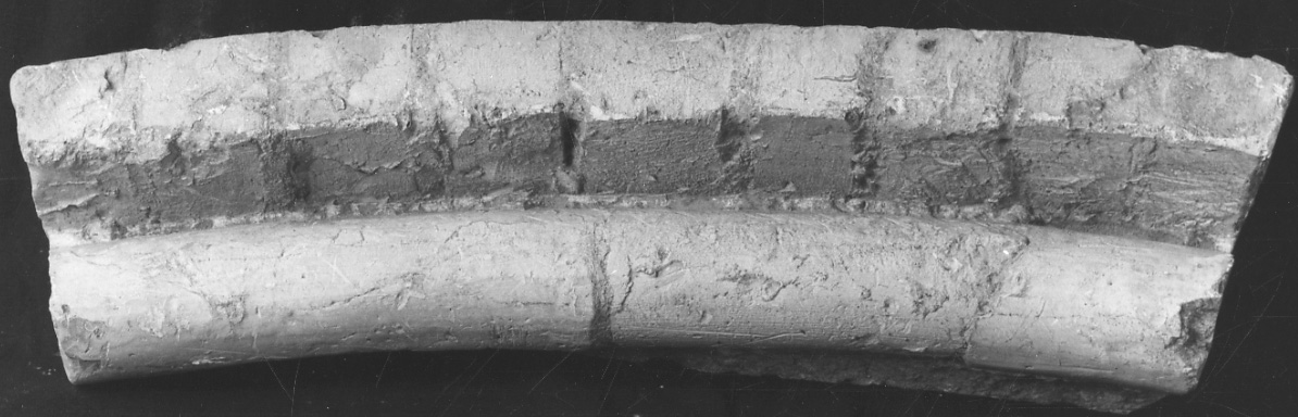 calco, frammento - produzione piemontese (fine/inizio secc. XIX/ XX)