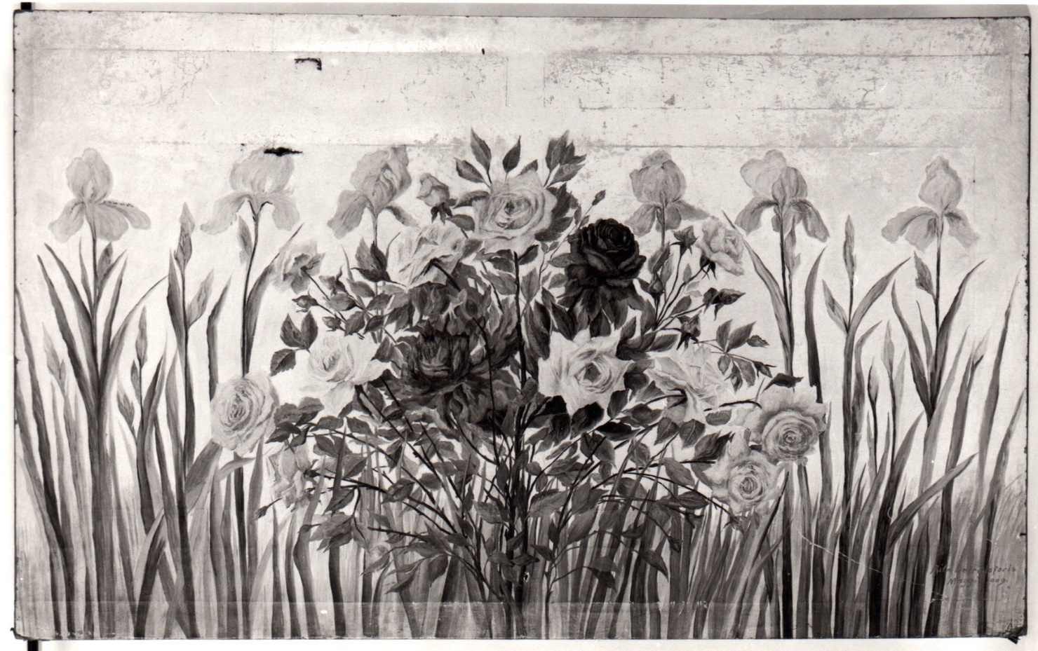 motivi decorativi floreali (paliotto, opera isolata) di Decristoforis Rita (inizio sec. XX)