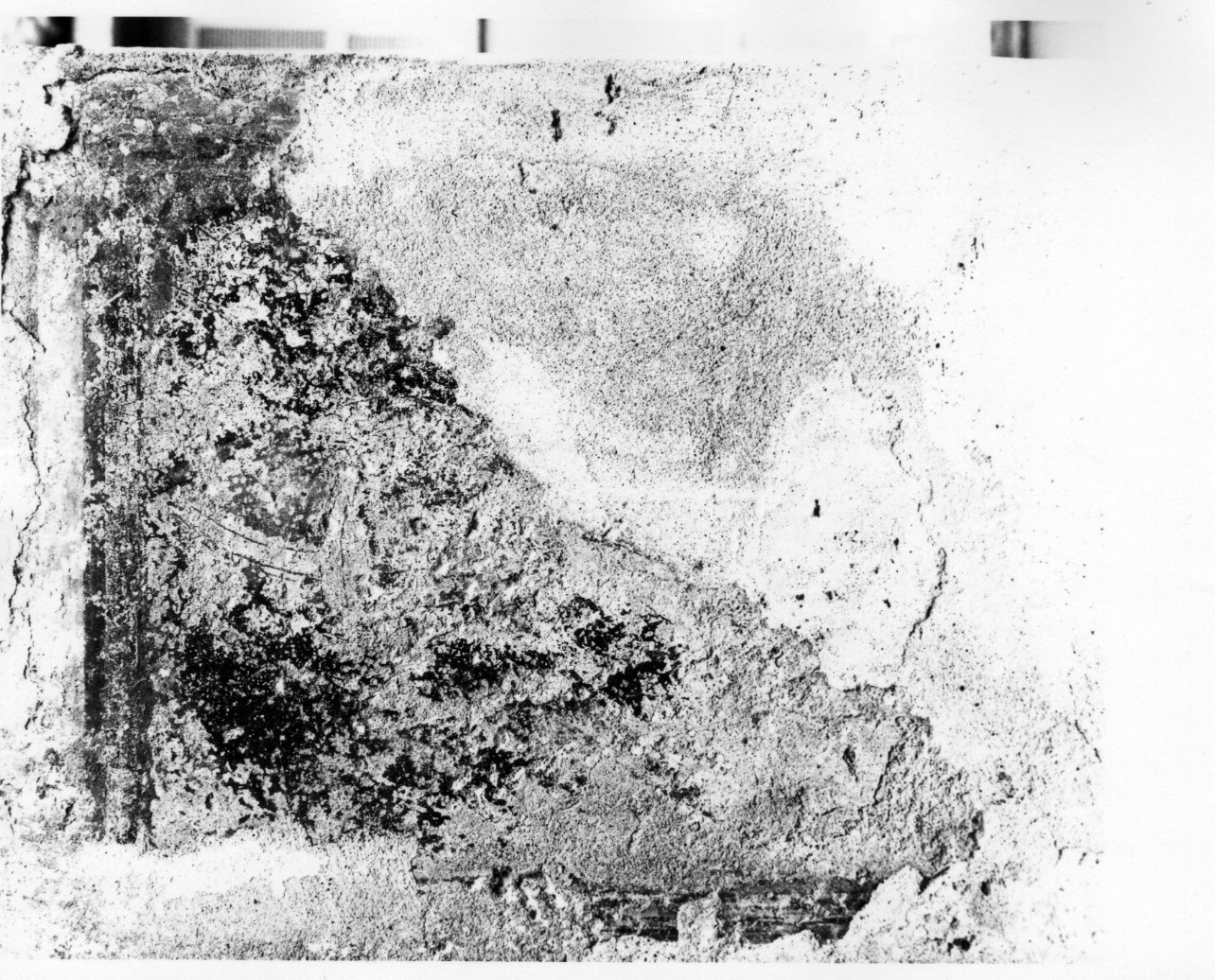 sinopia di copricapo (dipinto, frammento) - ambito piemontese (secc. XV/ XVI)