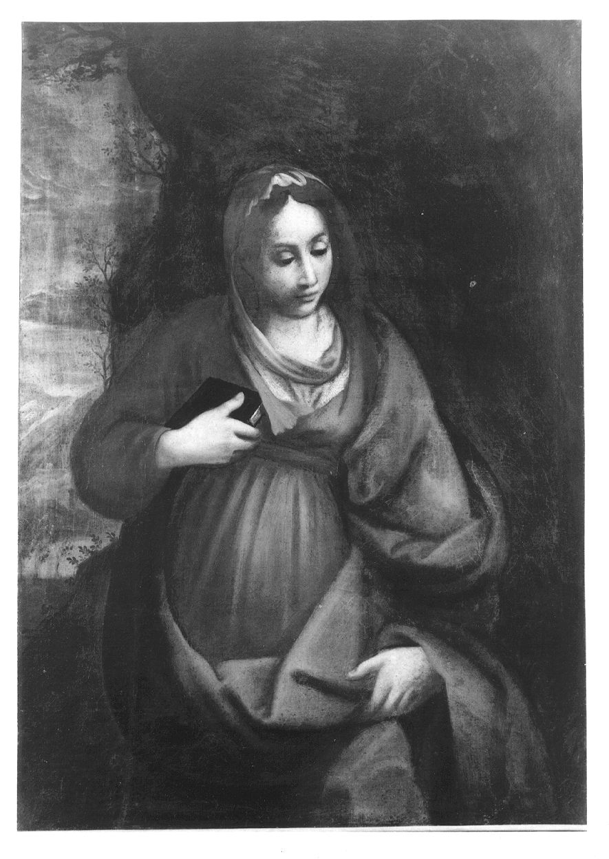 Maria Vergine (dipinto, opera isolata) - ambito piemontese (sec. XVII)