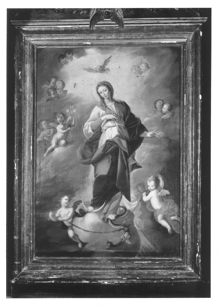 IMMACOLATA CONCEZIONE (dipinto, opera isolata) - ambito piemontese (prima metà sec. XVIII)