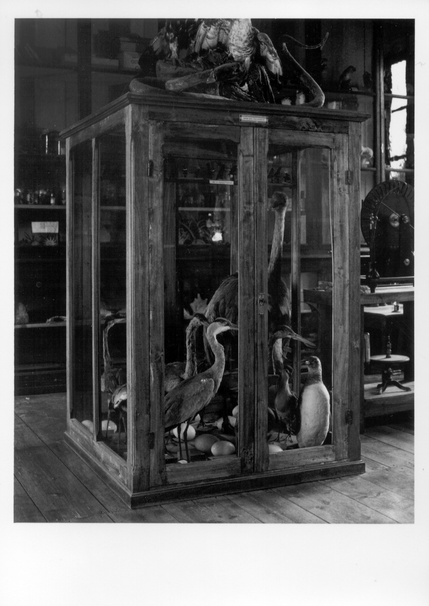 vetrina, opera isolata - ambito piemontese (prima metà sec. XX)