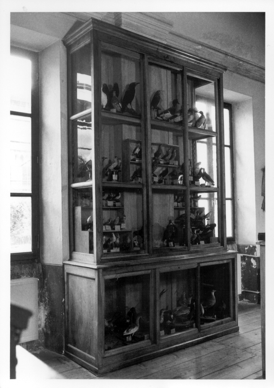 armadio, serie - ambito piemontese (fine/inizio secc. XIX/ XX)