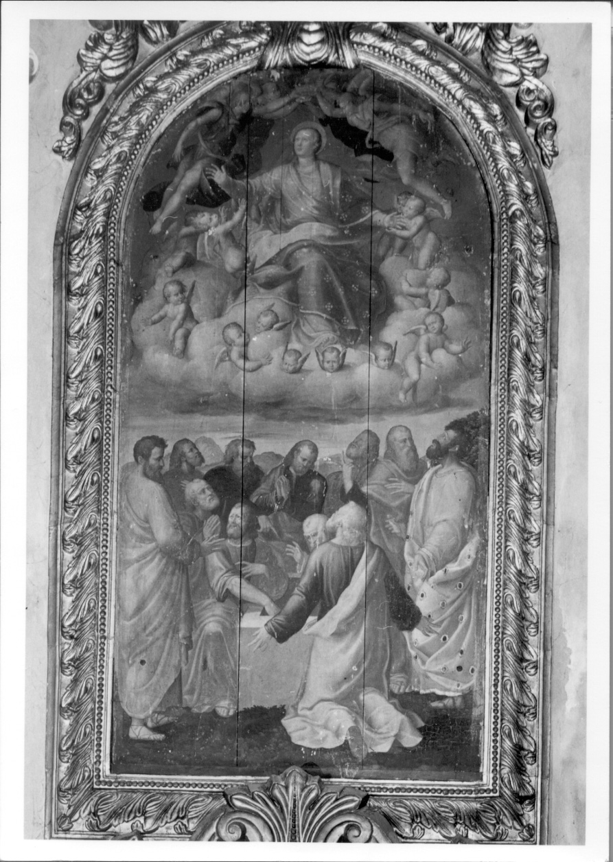 assunzione della Madonna (dipinto, opera isolata) - ambito lombardo (ultimo quarto sec. XVI)
