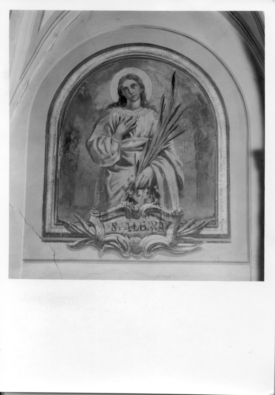 Sant'Albina (dipinto, opera isolata) di Tos Cesare, Violini Enrico (prima metà sec. XX)