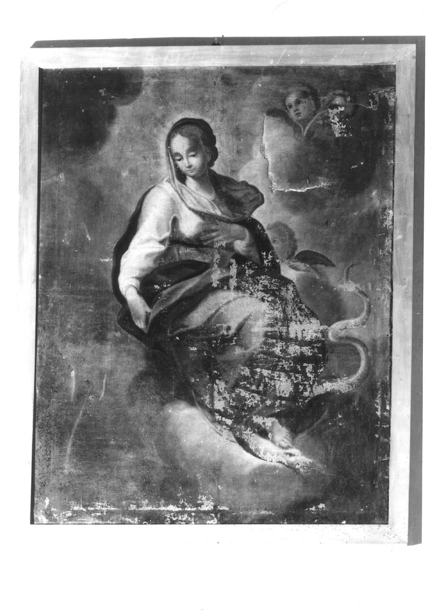 Immacolata Concezione (dipinto, opera isolata) - bottega lombarda (primo quarto sec. XVIII)