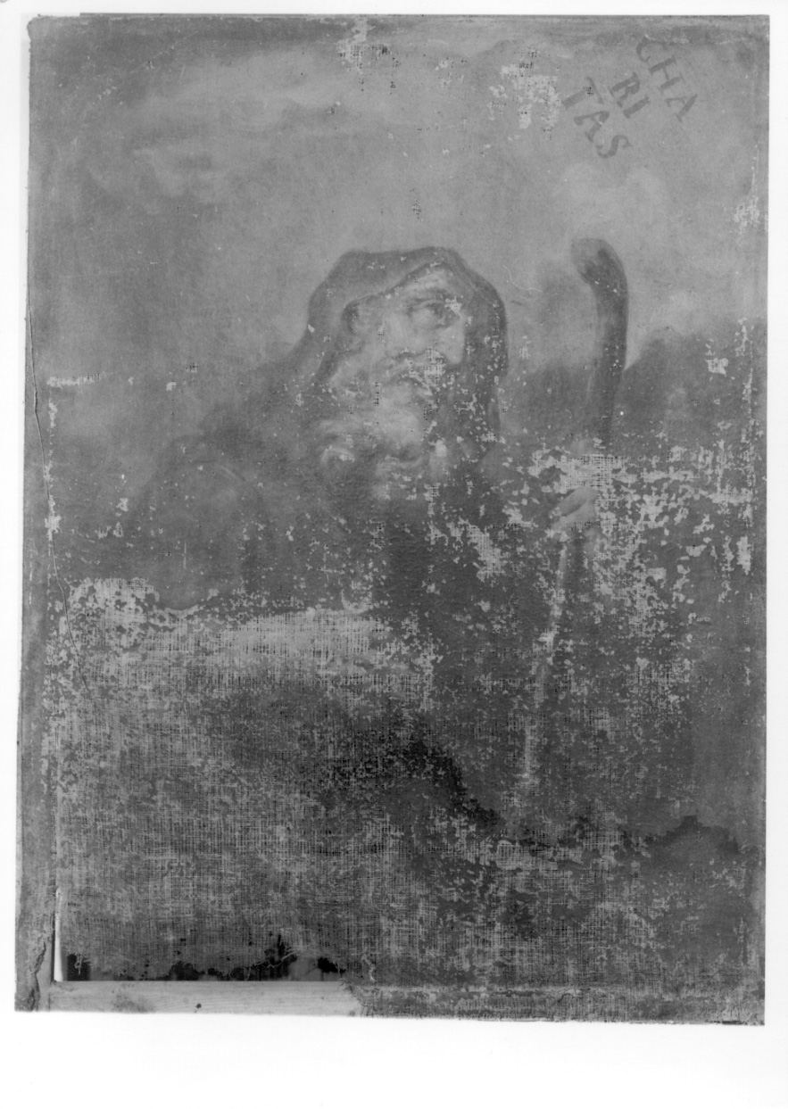 San Francesco di Paola (dipinto, opera isolata) di Pianca Giuseppe Antonio (secondo quarto sec. XVIII)