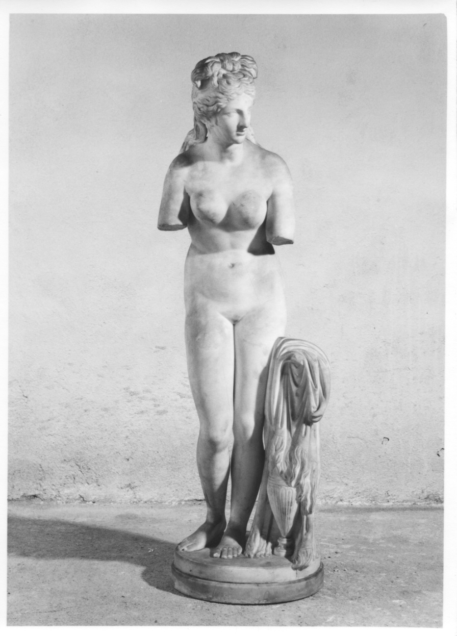 Venere Cnidia, Venere (statua, opera isolata) - ambito romano (seconda metà sec. XIX)