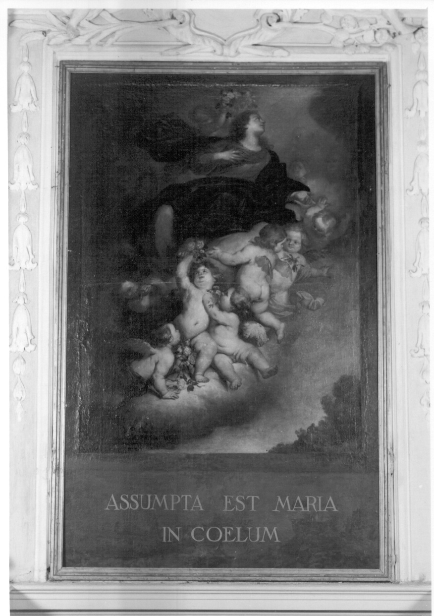 Madonna Assunta con angeli (dipinto, opera isolata) di Sacco Carlo Orazio (prima metà sec. XVII)