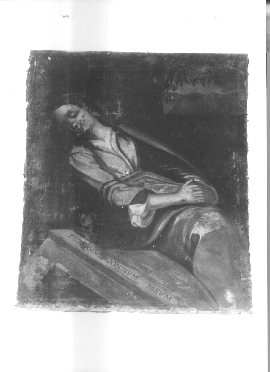 Santa Maria Maddalena (dipinto, opera isolata) - ambito piemontese (sec. XVII)