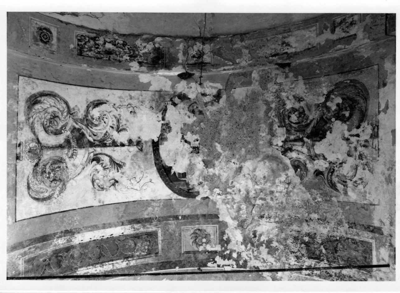 MOTIVI DECORATIVI VEGETALI CON VASI (dipinto) di Ferari Giovanni Battista (ultimo quarto sec. XIX)