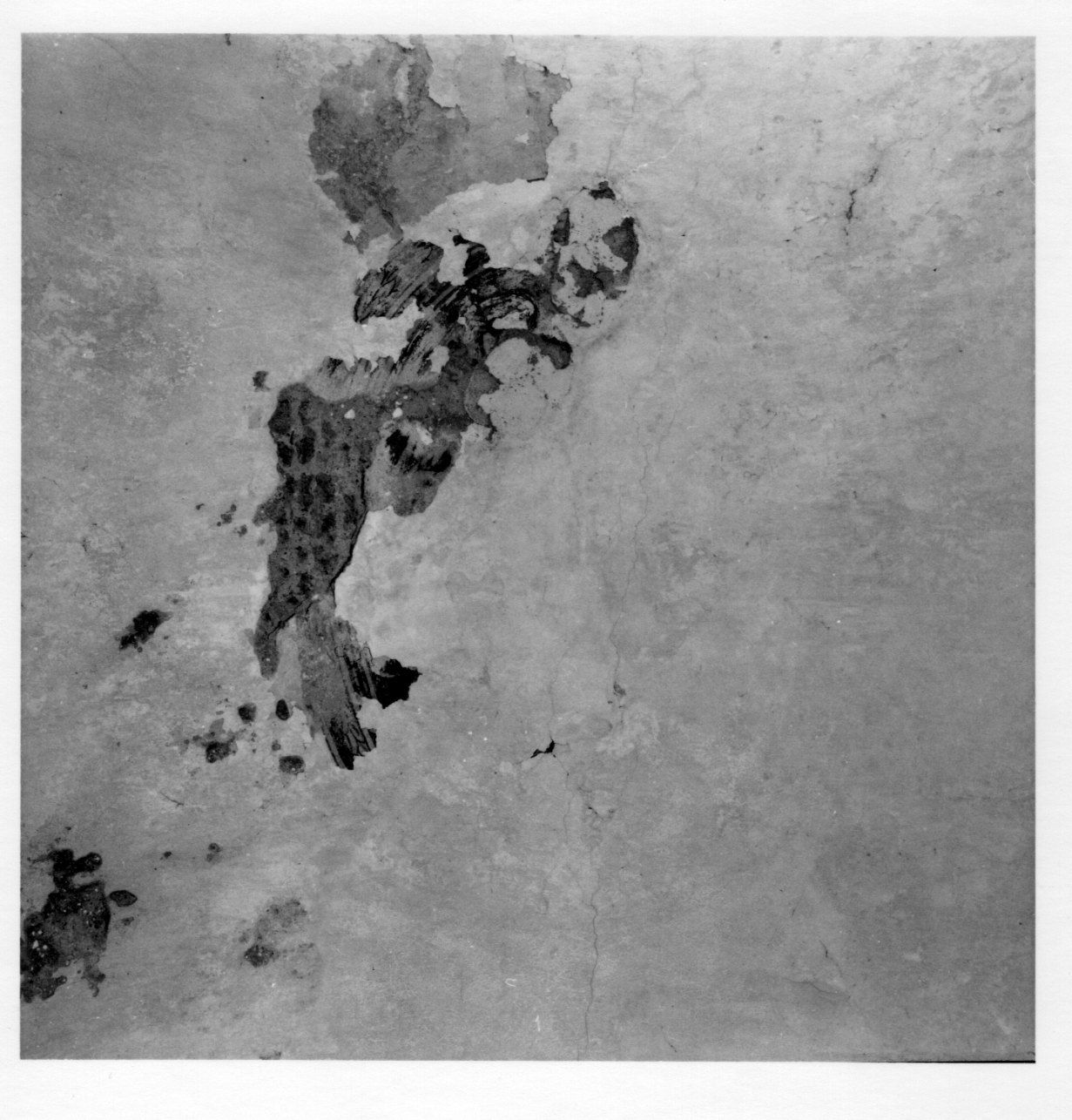 dipinto, frammento di Reurelus Bernardus (primo quarto sec. XVII)