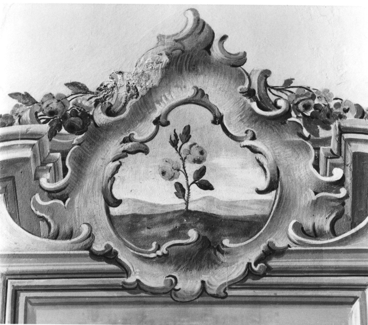 fiore (dipinto, elemento d'insieme) - ambito piemontese (prima metà sec. XVIII)