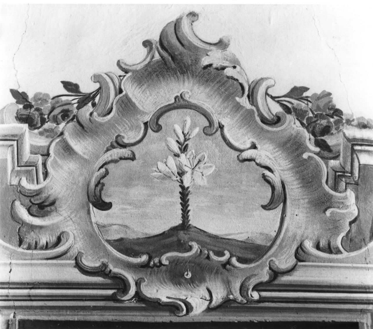 GIGLIO (dipinto, elemento d'insieme) - ambito piemontese (prima metà sec. XVIII)