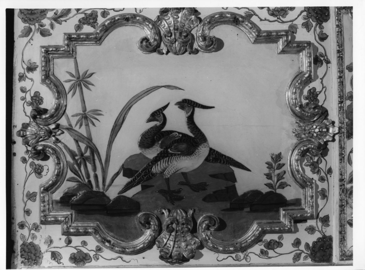 uccelli acquatici (elemento decorativo, elemento d'insieme) di Massa Pietro, Juvarra Filippo (sec. XVIII)