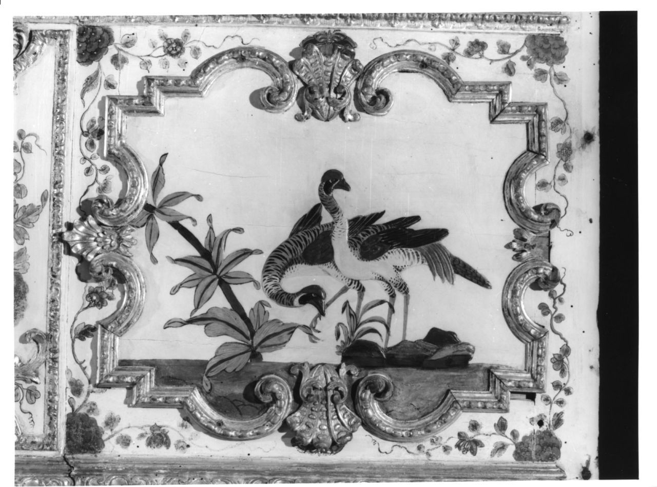 uccelli acquatici (elemento decorativo, elemento d'insieme) di Massa Pietro, Juvarra Filippo (sec. XVIII)