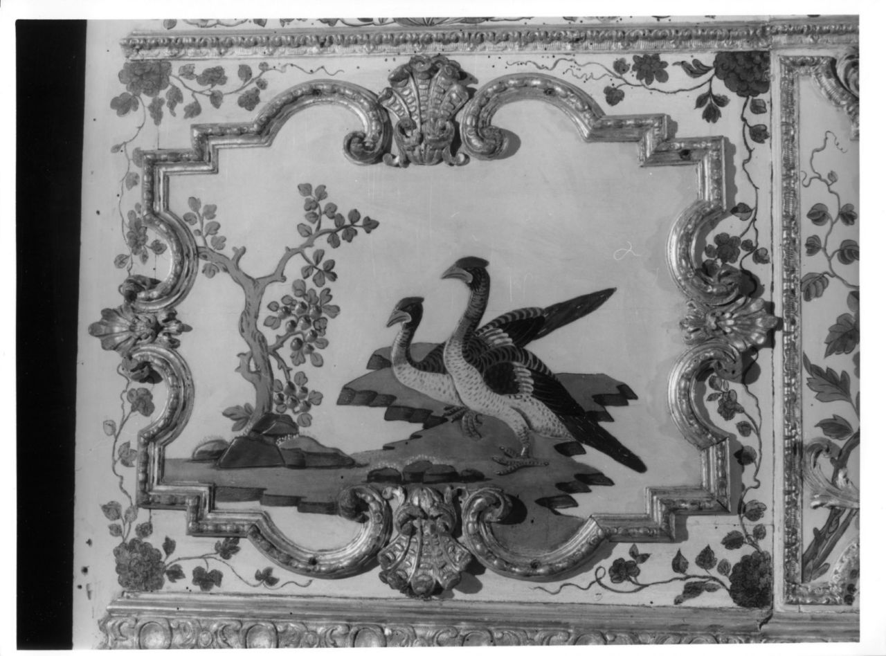 uccelli acquatici (elemento decorativo, elemento d'insieme) di Massa Pietro, Juvarra Filippo (sec. XVIII)