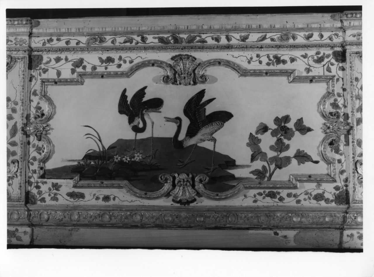 uccelli acquatici (elemento decorativo, elemento d'insieme) di Massa Pietro, Juvarra Filippo (sec. XVIII)