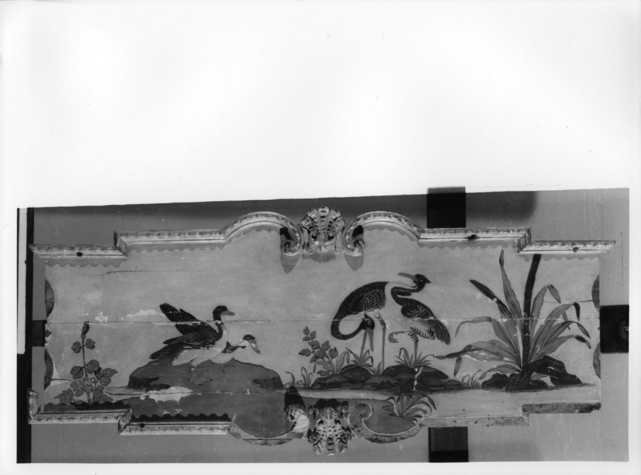 uccelli acquatici (elemento decorativo, elemento d'insieme) di Massa Pietro, Juvarra Filippo (sec. XVIII)
