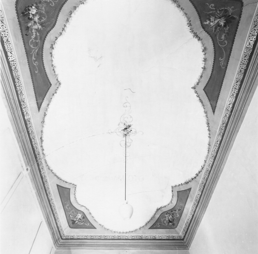 motivi decorativi vegetali (dipinto, opera isolata) - ambito biellese (fine sec. XIX)