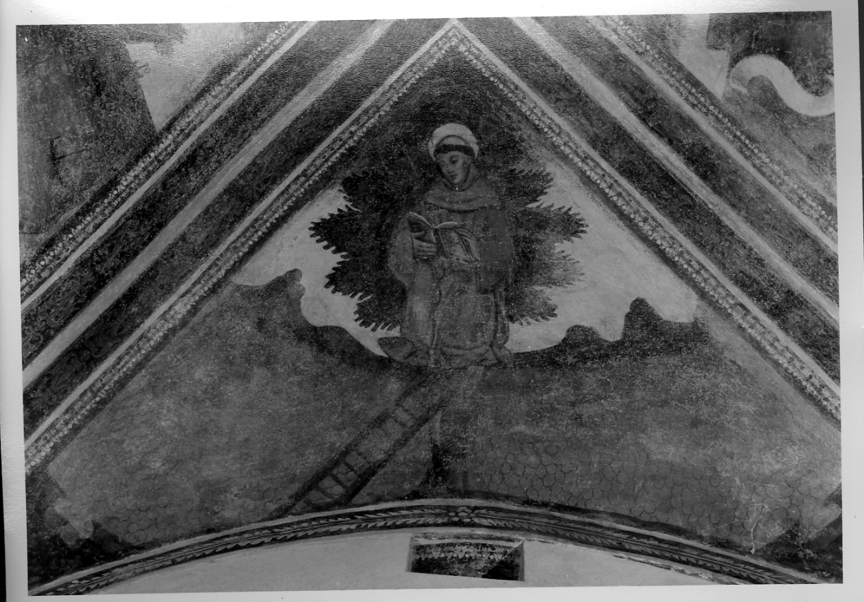 Sant'Antonio da Padova sul noce (dipinto, insieme) - ambito monregalese (terzo quarto sec. XV)