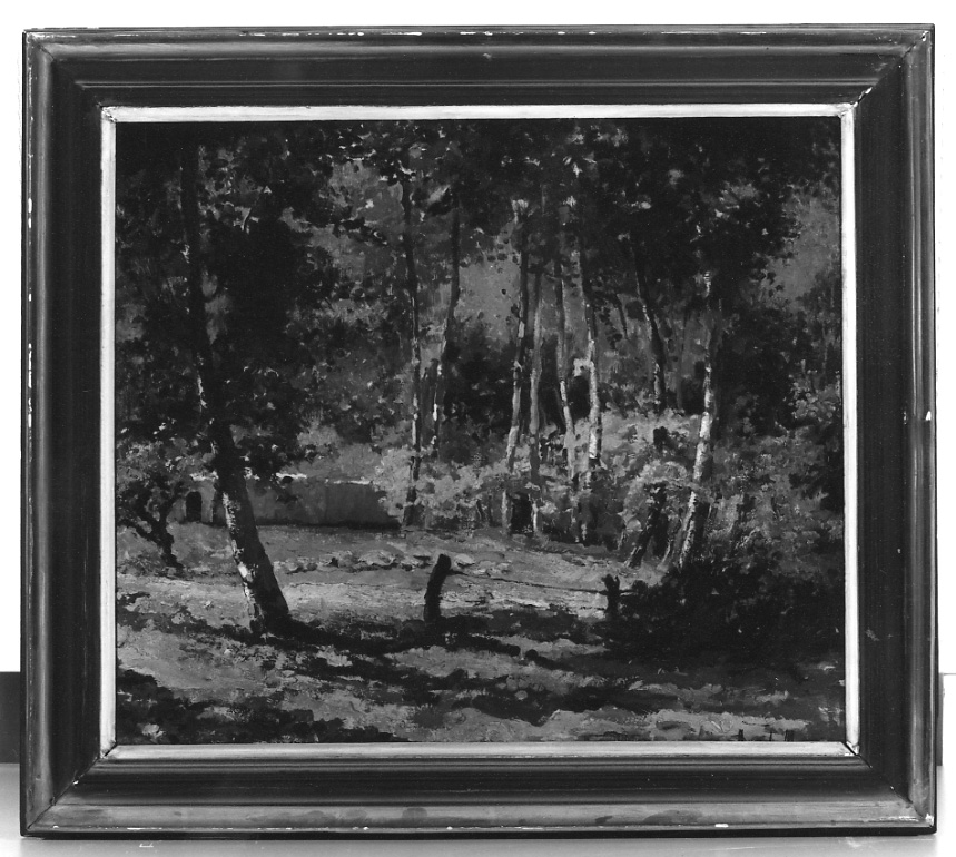 Scherzi di sole, paesaggio con alberi (dipinto, opera isolata) di Meucci Angiola (secondo quarto sec. XX)