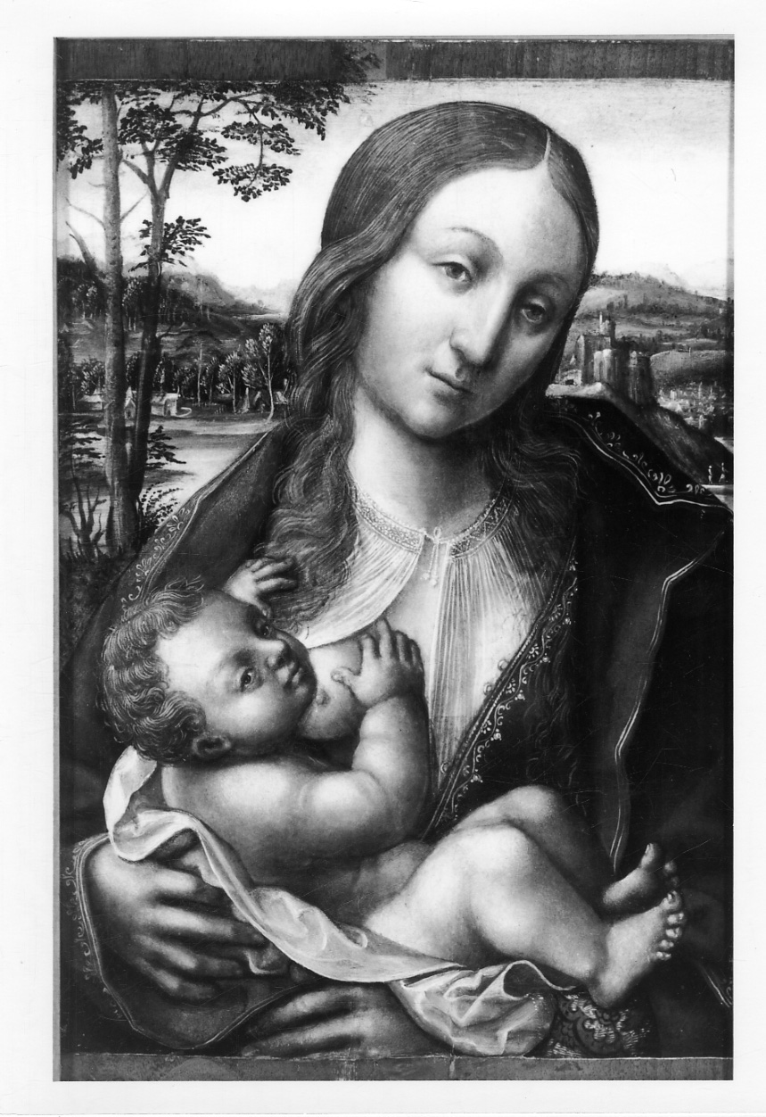 Madonna con Bambino (dipinto, opera isolata) di Civerchio Vincenzo (fine sec. XV)