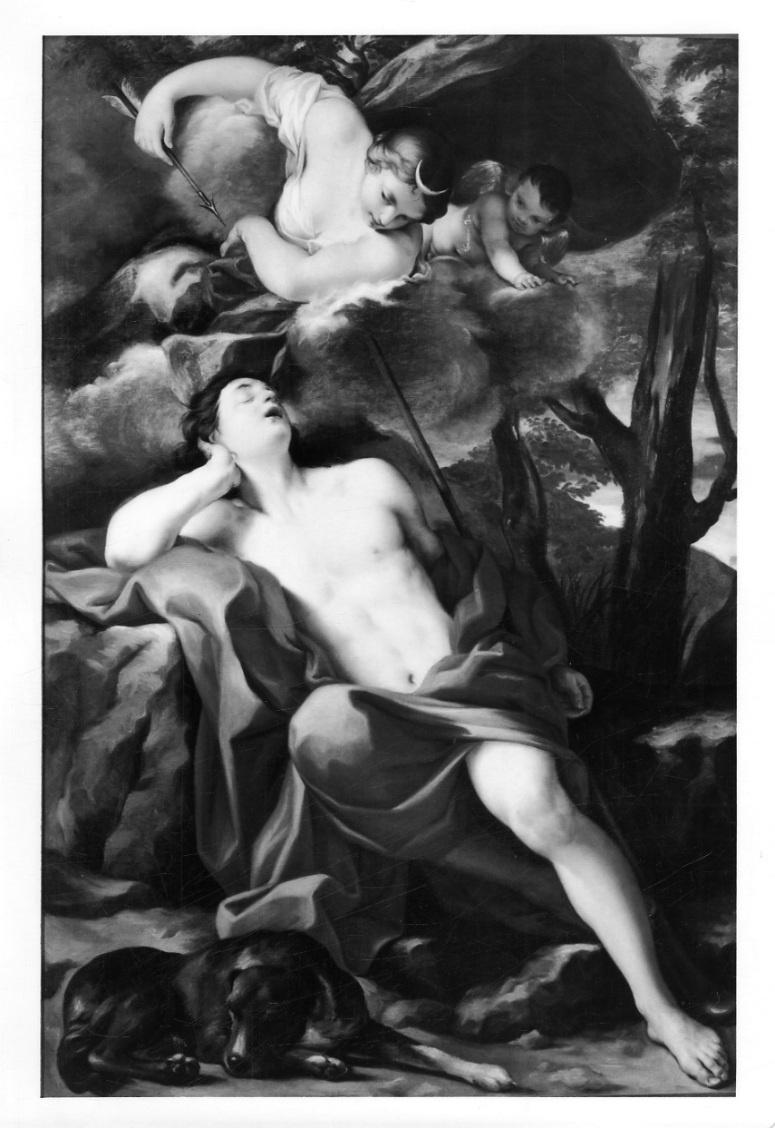 Diana ed Endimione (dipinto, opera isolata) di Viani Giovanni Maria (ultimo quarto sec. XVII)