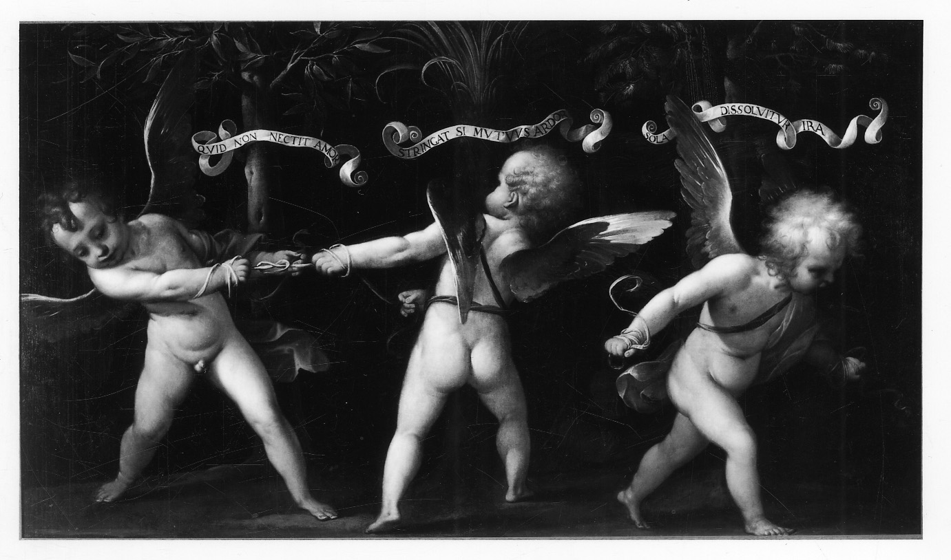 allegoria con putti alati (dipinto, opera isolata) di Bianchi Isidoro (ultimo quarto sec. XVI)