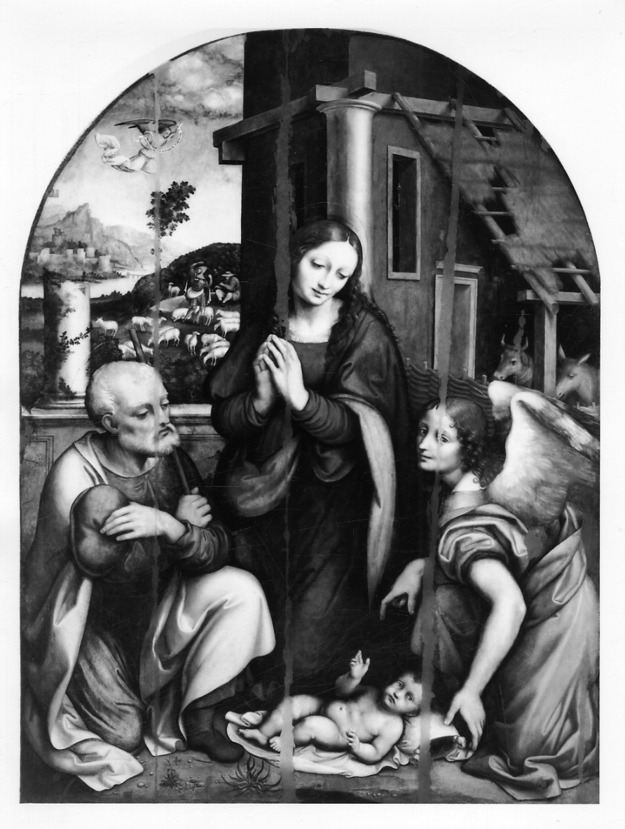 natività di Gesù (dipinto, opera isolata) di Rizzi Gian Pietro detto Giampietrino (primo quarto sec. XVI)