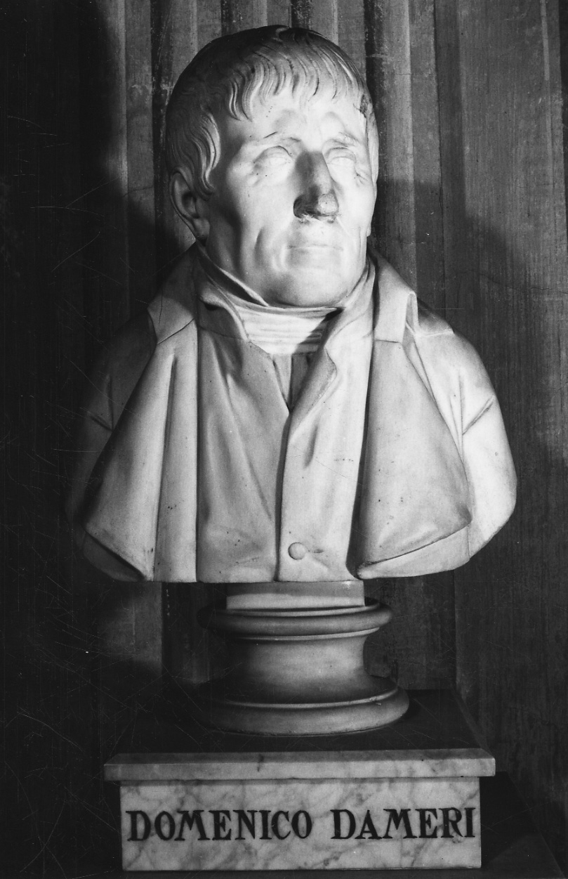 busto ritratto di Domenico Dameri (busto, opera isolata) di Peschiera Ignazio (secondo quarto sec. XIX)