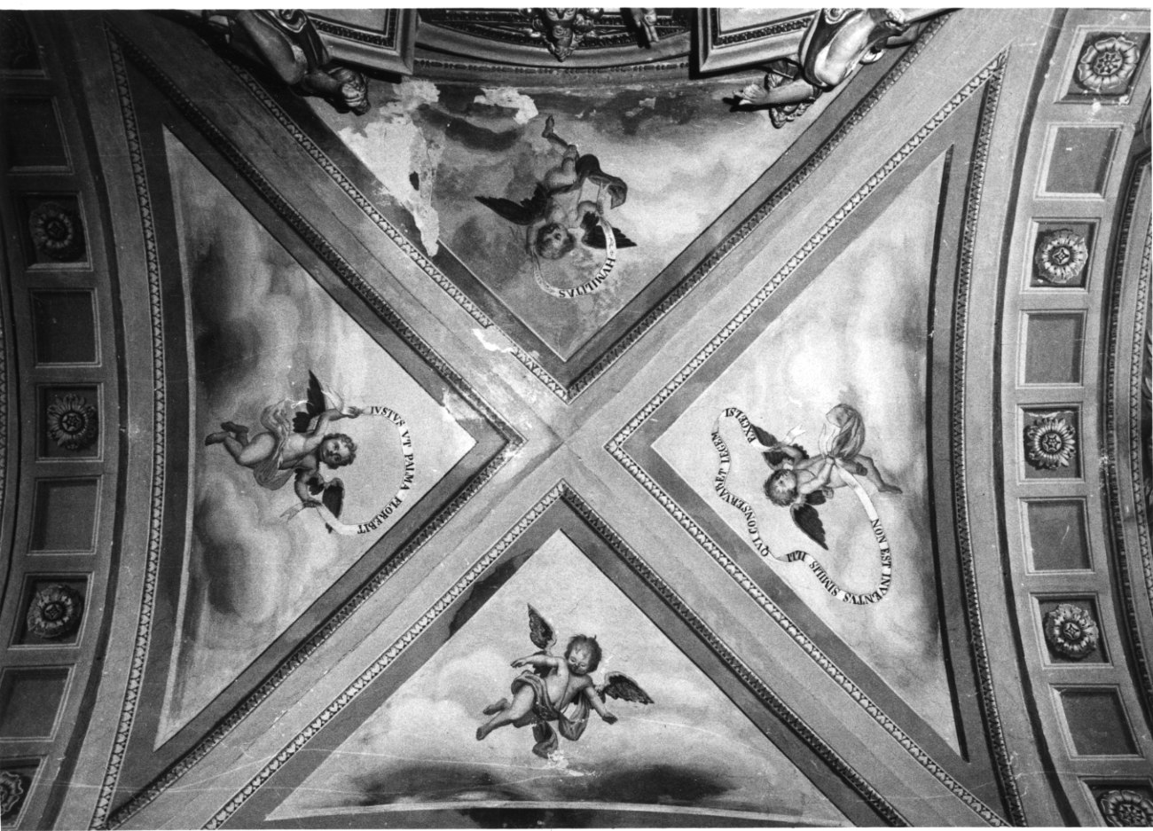 angioletti reggicartiglio (decorazione pittorica, elemento d'insieme) di Costanzo di Moncalvo (secondo quarto sec. XIX)