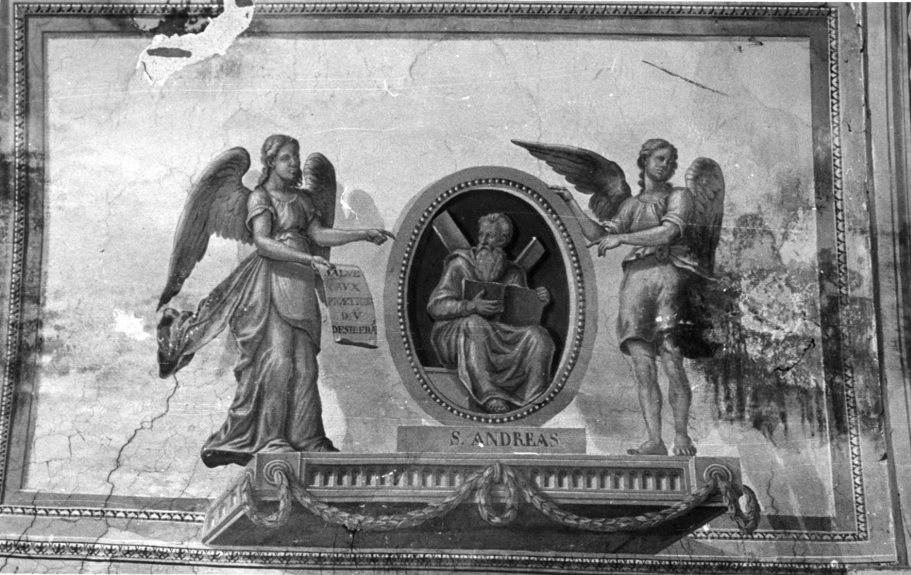 angeli reggenti un tondo con Sant'Andrea (decorazione pittorica, elemento d'insieme) di Costanzo di Moncalvo (secondo quarto sec. XIX)