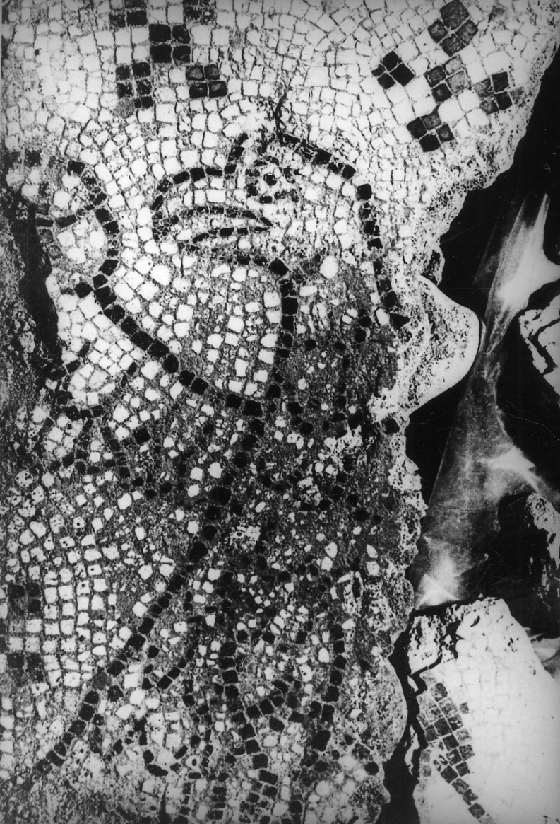 simbolo di San Giovanni Evangelista: aquila (decorazione musiva, frammento) - bottega piemontese (sec. IX)