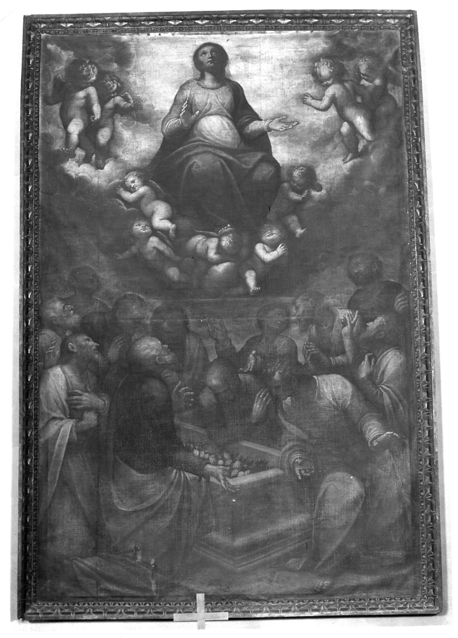 ASSUNZIONE DELLA MADONNA (dipinto, opera isolata) di Caccia Guglielmo detto Moncalvo (attribuito) (inizio sec. XVII)